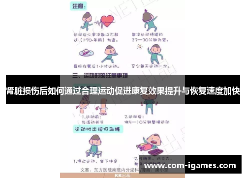 肾脏损伤后如何通过合理运动促进康复效果提升与恢复速度加快
