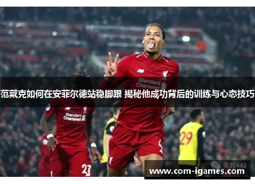 范戴克如何在安菲尔德站稳脚跟 揭秘他成功背后的训练与心态技巧