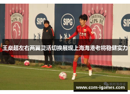 王燊超左右两翼灵活切换展现上海海港老将稳健实力 王燊超左右两翼灵活切换展现上海海港老将稳健实力