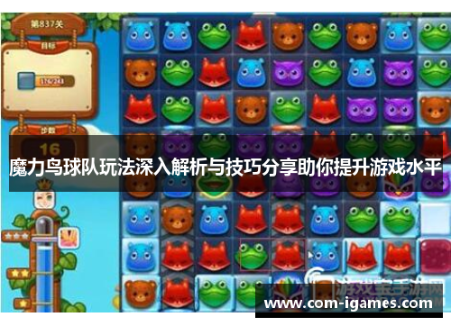魔力鸟球队玩法深入解析与技巧分享助你提升游戏水平
